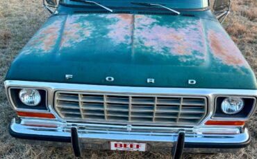 Ford-F-250-1978-Green-Green-145243-1