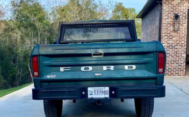 Ford-F-250-1978-Green-Green-145243-15