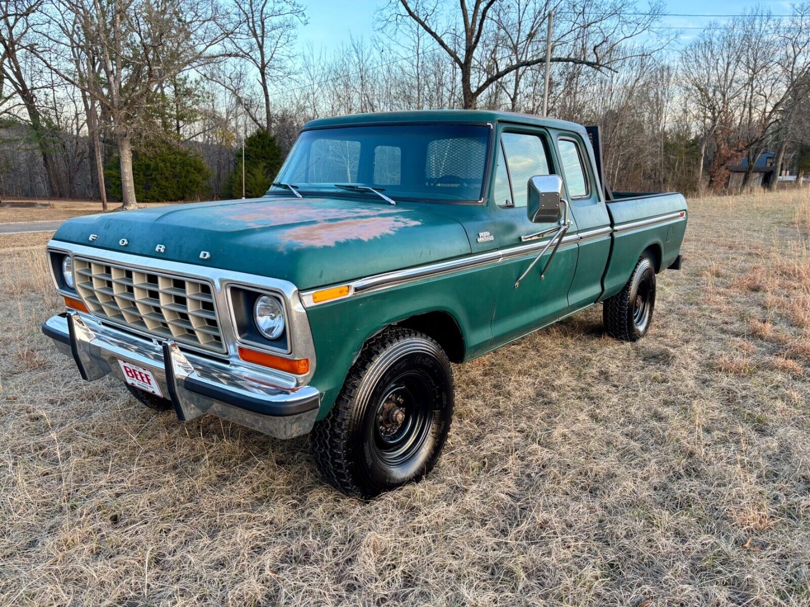 Ford-F-250-1978-Green-Green-145243-3