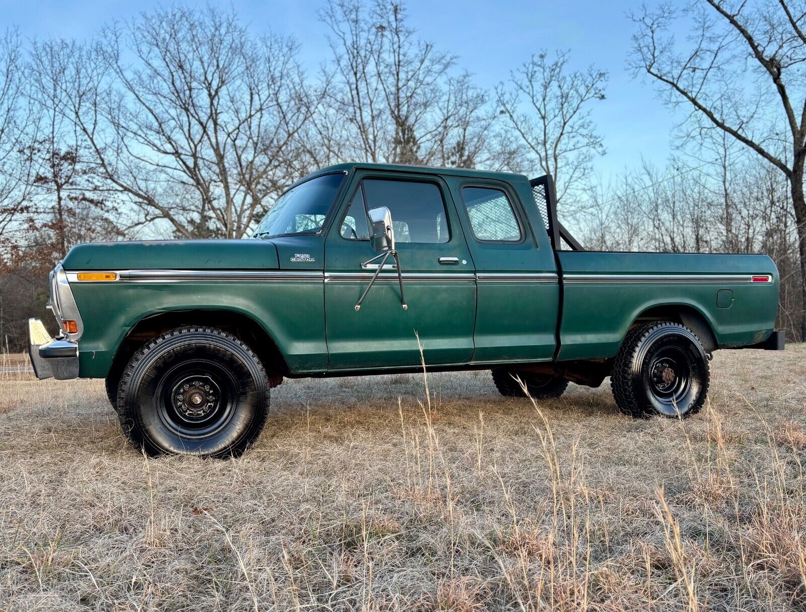 Ford-F-250-1978-Green-Green-145243-4