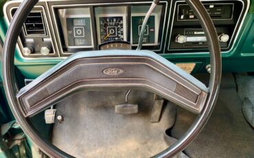 Ford-F-250-1978-Green-Green-145243-6