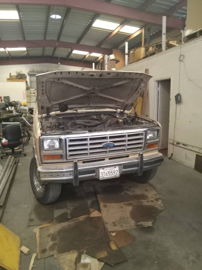 Ford-F-250-1983-133575-3