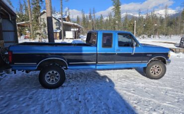 Ford-F-250-1984-blue-280025-3