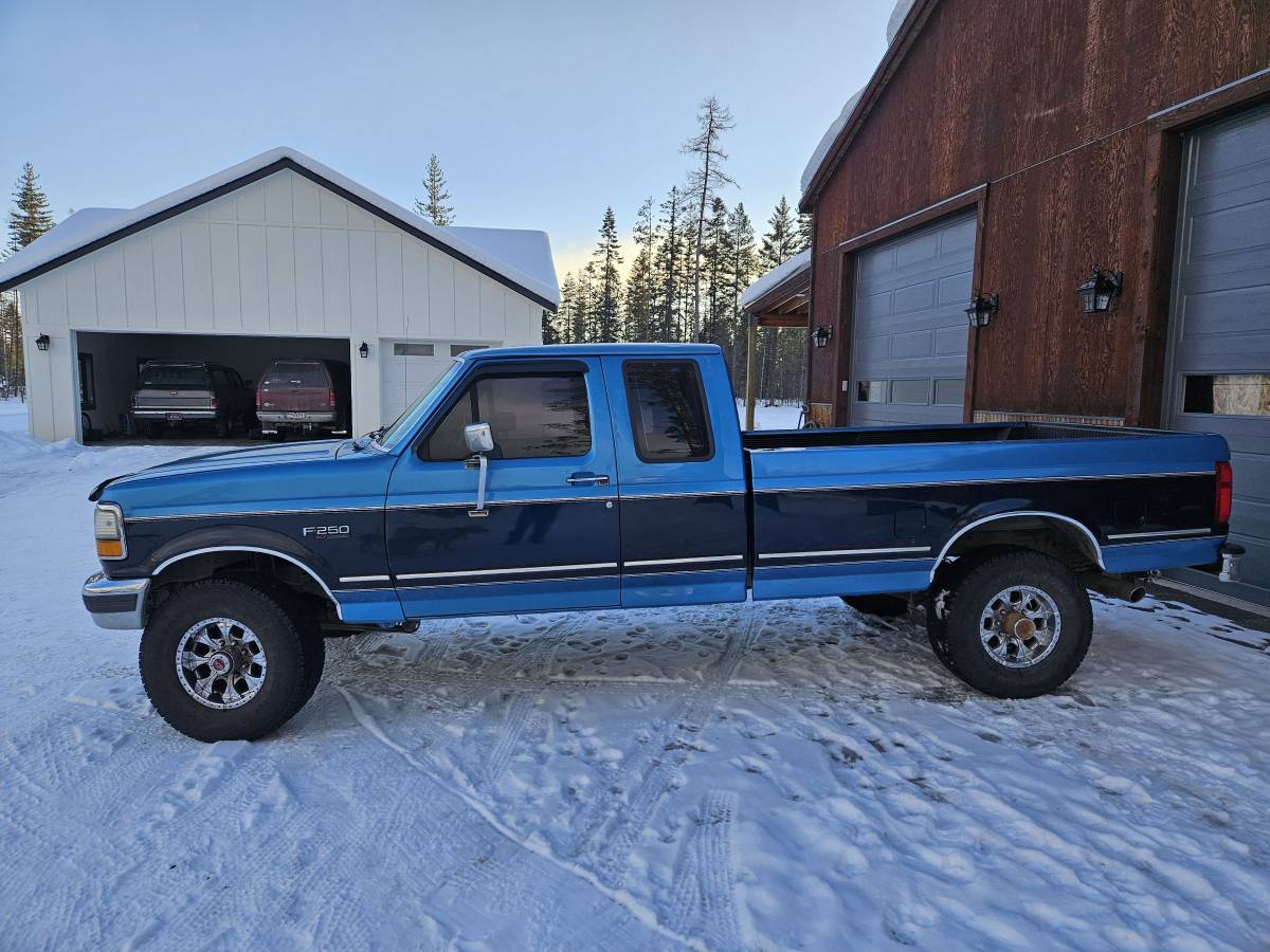 Ford-F-250-1984-blue-280025-5