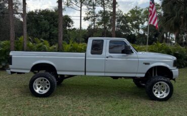 Ford-F-250-1995-Gray-257199-1