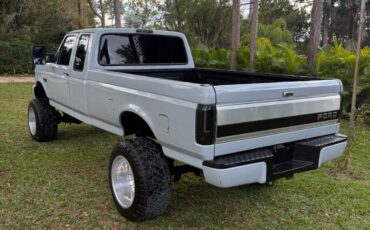 Ford-F-250-1995-Gray-257199-10