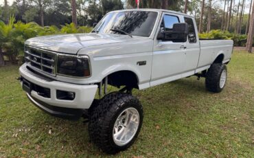 Ford-F-250-1995-Gray-257199-13