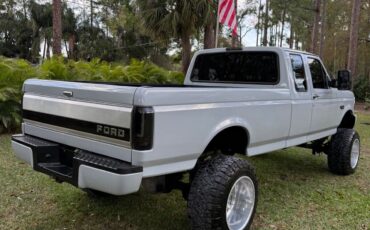 Ford-F-250-1995-Gray-257199-2