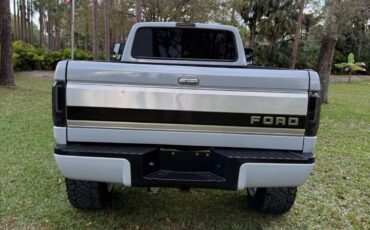 Ford-F-250-1995-Gray-257199-3