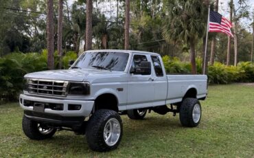 Ford-F-250-1995-Gray-257199-37