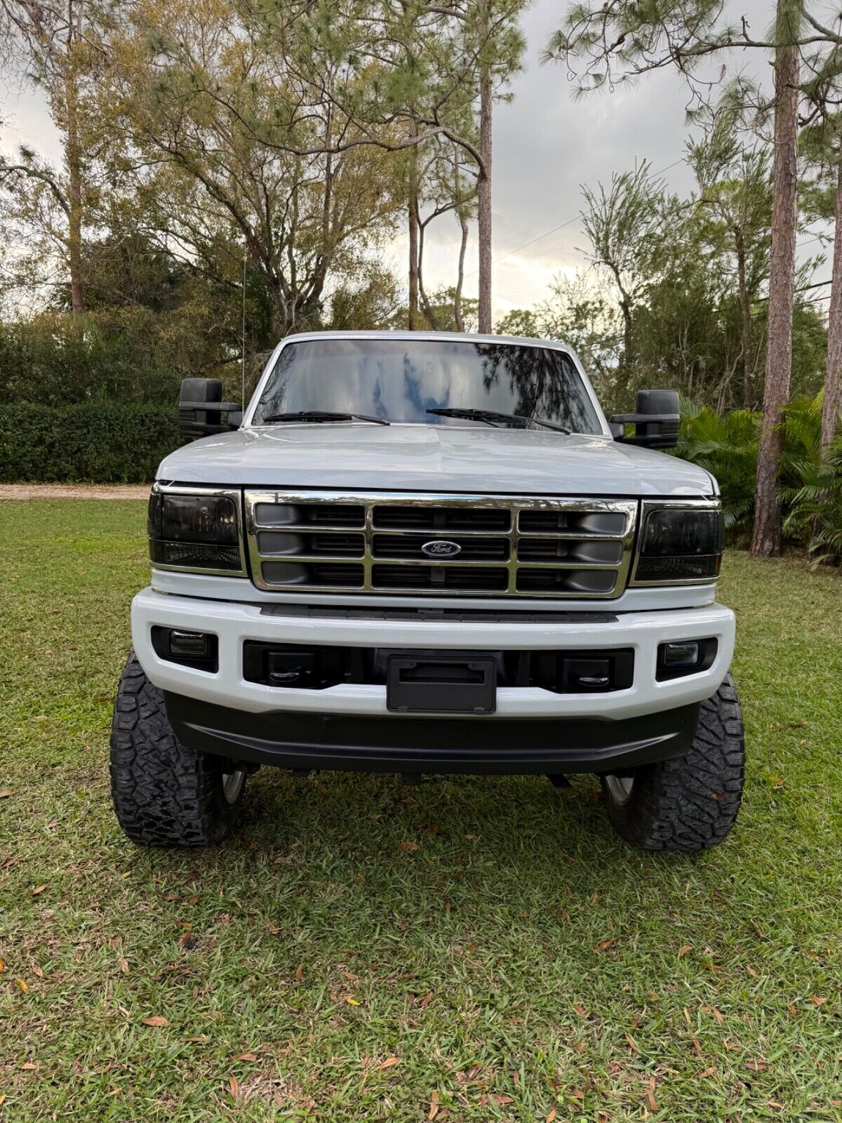 Ford-F-250-1995-Gray-257199-4