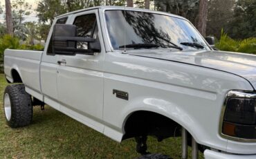 Ford-F-250-1995-Gray-257199-5