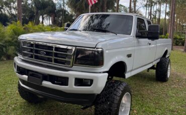 Ford-F-250-1995-Gray-257199-8