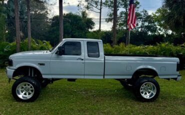 Ford-F-250-1995-Gray-257199-9