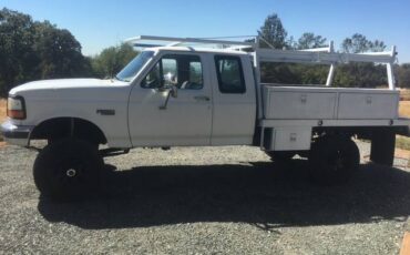 Ford-F-250-1995-white-271978-8