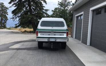 Ford-F-250-Pickup-1977-Green-Tan-199237-3