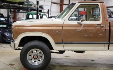 Ford-F-250-Pickup-1981-Brown-Tan-49169-2