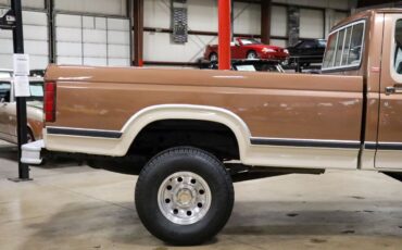 Ford-F-250-Pickup-1981-Brown-Tan-49169-8