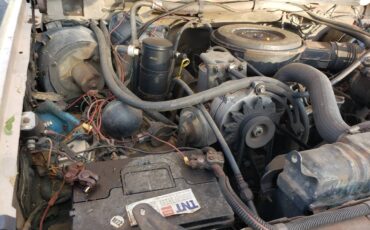 Ford-F-250-diesel-1985-243010-12