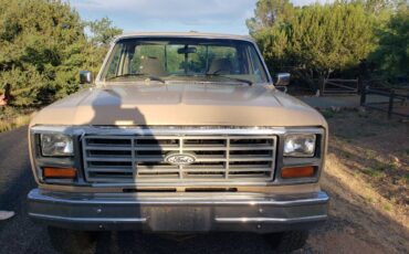 Ford-F-250-diesel-1985-243010-2