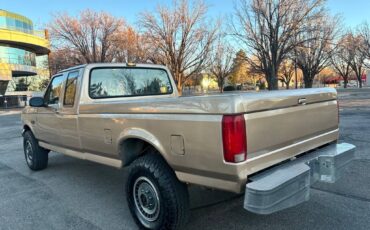 Ford-F-250-diesel-1992-custom-122862-4