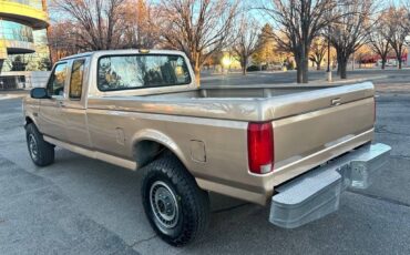 Ford-F-250-diesel-1992-custom-122862-5