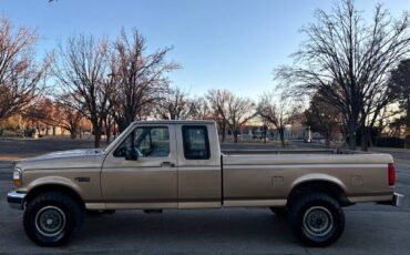 Ford-F-250-diesel-1992-custom-122862-7