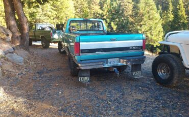 Ford-F-250-diesel-1994-2