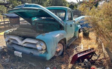 Ford-F100-1955-blue-80718-3