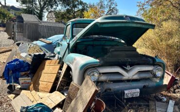 Ford-F100-1955-blue-80718-4