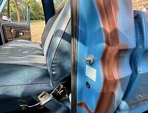 Ford-F100-1975-Blue-135692-19