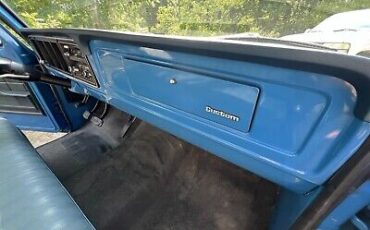 Ford-F100-1975-Blue-135692-28