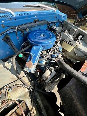 Ford-F100-1975-Blue-135692-34