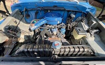 Ford-F100-1975-Blue-135692-35