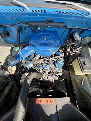 Ford-F100-1975-Blue-135692-37