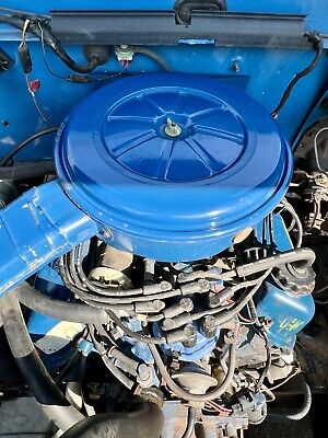 Ford-F100-1975-Blue-135692-38