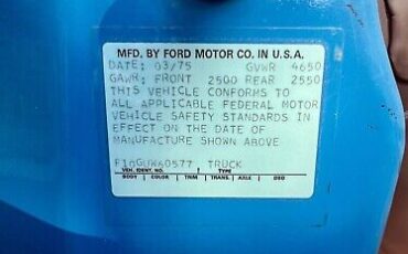 Ford-F100-1975-Blue-135692-39