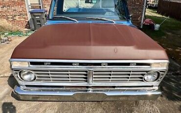 Ford-F100-1975-Blue-135692-4