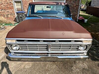 Ford-F100-1975-Blue-135692-4