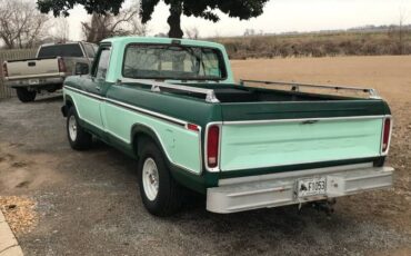 Ford-F100-1979-3