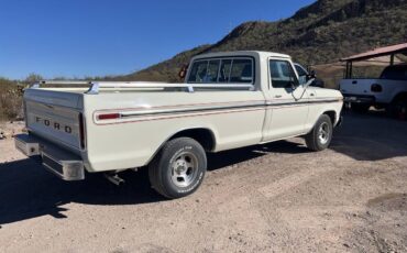 Ford-F100-1979-white-82076-3