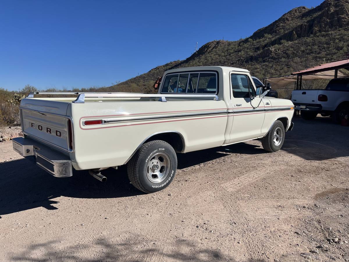 Ford-F100-1979-white-82076-3