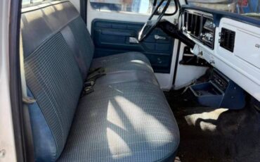 Ford-F150-1977-white-25127-2