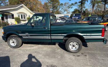 Ford-F150-1995-blue-285368-1