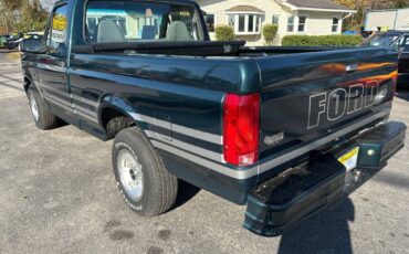 Ford-F150-1995-blue-285368-2