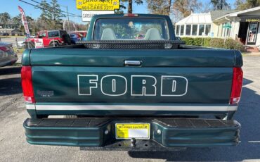 Ford-F150-1995-blue-285368-3