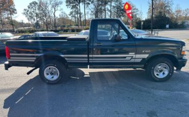 Ford-F150-1995-blue-285368-5