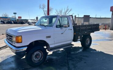 Ford-F250-1989-3