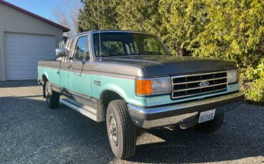 Ford-F250-1991-grey-219086-3