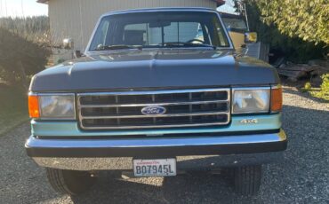 Ford-F250-1991-grey-219086-6